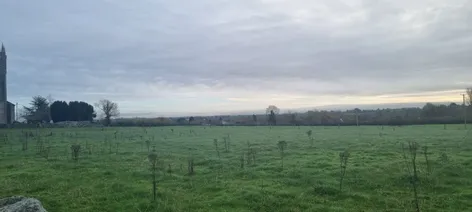 1 x 3.5 acres Sites SPP, Palatine, Co. Carlow, R93N7D2 -  DNG