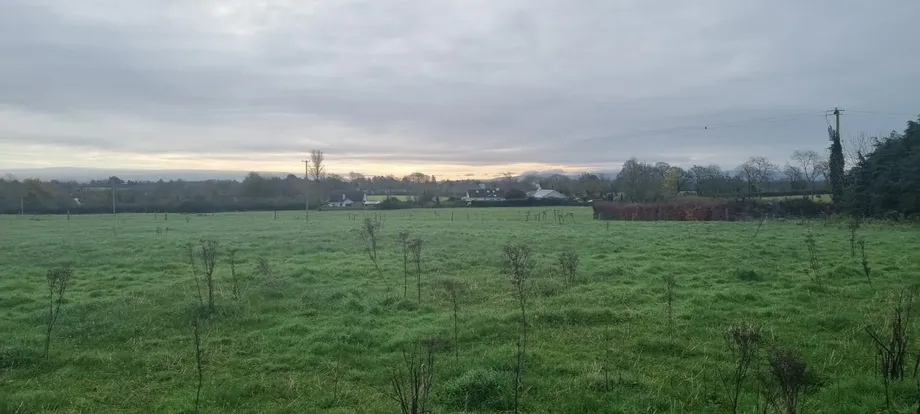 1 x 3.5 acres Sites SPP, Palatine, Co. Carlow, R93N7D2 - DNG Estate Agents