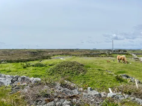 Cloghmore, Ballynahown, Inverin, Galway - DNG