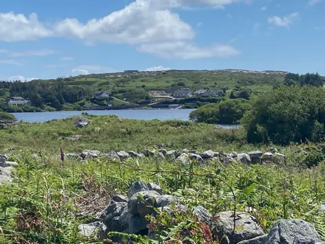 Doire Fhatharta Mor, Carraroe, Galway -  DNG