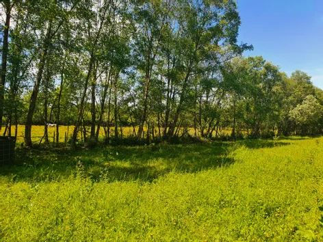 Rathmore, Carbury, Kildare -  DNG