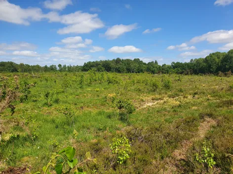 Rathmore, Carbury, Kildare -  DNG