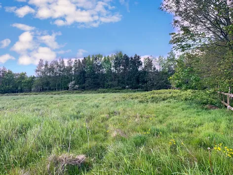 Site 2, Ballyboggan, Park, Wexford Town - DNG