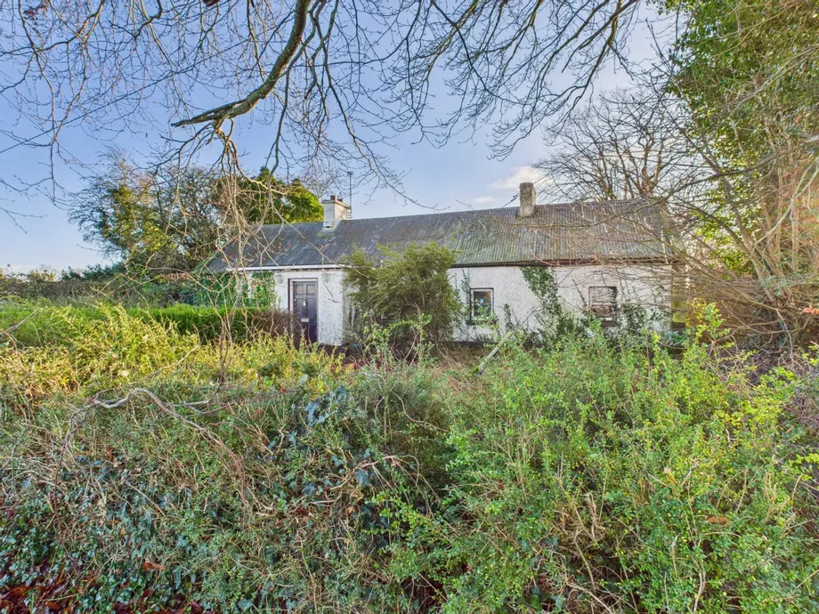 Killurin, Tullamore, Co. Offaly, R35V271 - DNG Estate Agents