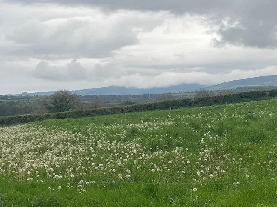 Site B At Ballyminane Mills, Enniscorthy, Co. Wexford - DNG Estate Agents