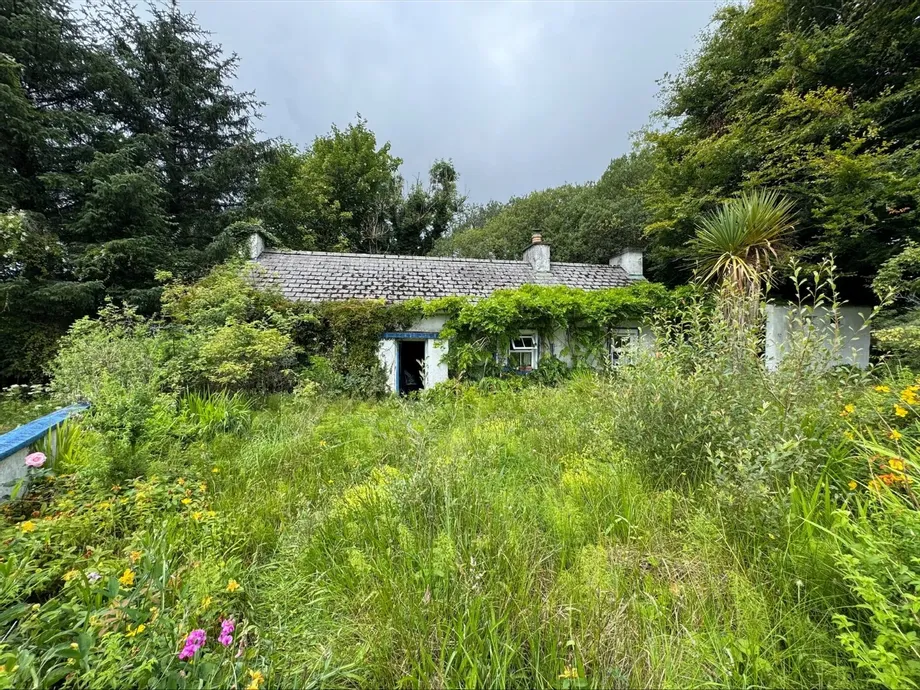 Letterfad, Letterbarrow, Co.Donegal, F94T2T1 - DNG Estate Agents