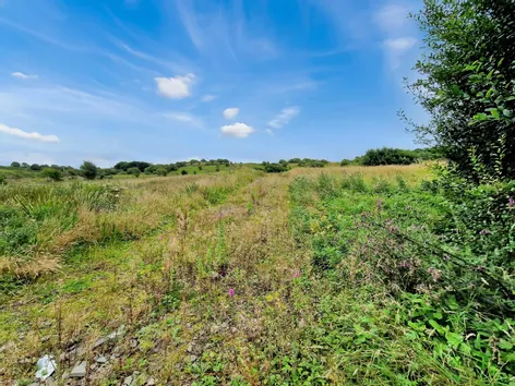 Circa 0.7 Acre Site Deerpark, Ennistymon, Co. Clare -  DNG