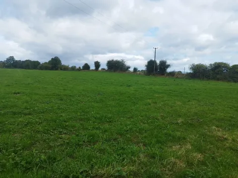 Knockane, Garrydoolis, Pallasgreen, Co.Limerick -  DNG