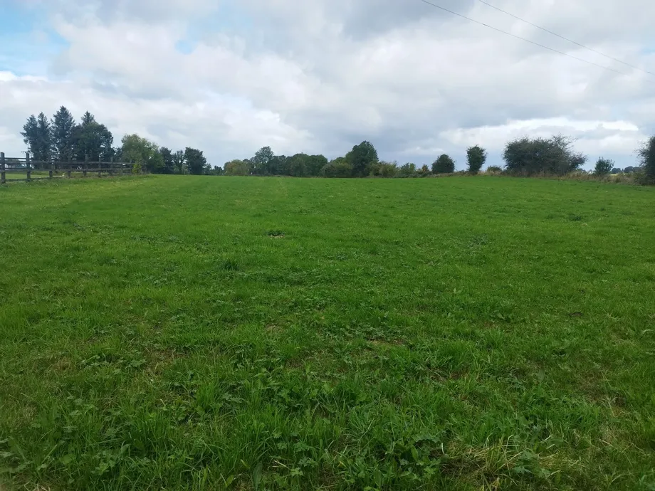 Knockane, Garrydoolis, Pallasgreen, Co.Limerick - DNG Estate Agents