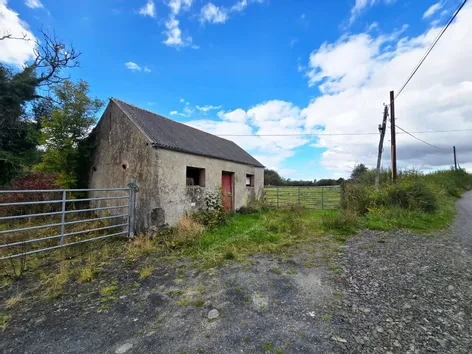 Ballydineen, Lissycasey, Co Clare - DNG