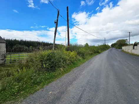 Ballydineen, Lissycasey, Co Clare - DNG