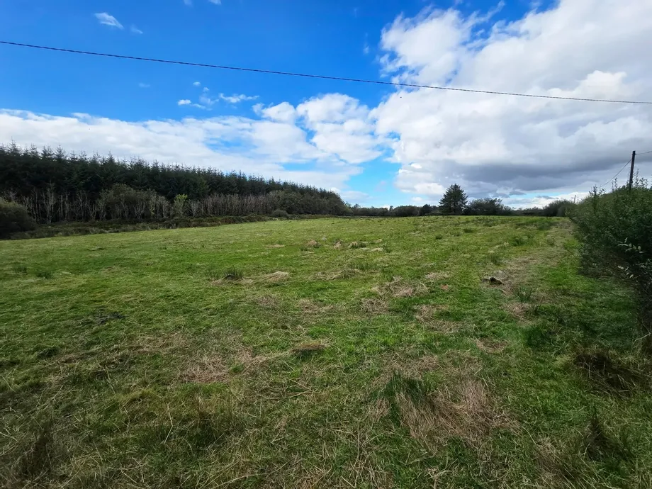 Ballydineen, Lissycasey, Co Clare - DNG Estate Agents