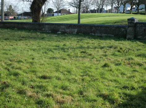 Iona Park, Mayfield, Cork -  DNG