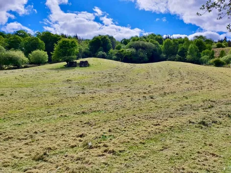 Curraghduff East Farm, Glann, Oughterard, Co Galway - DNG