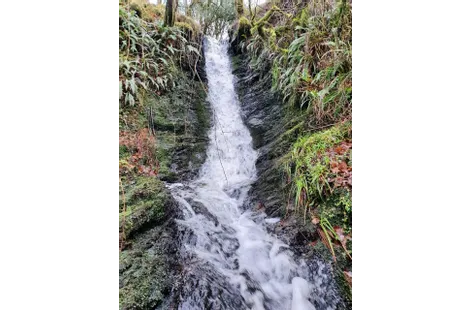 Curraghduff East Farm, Glann, Oughterard, Co Galway - DNG