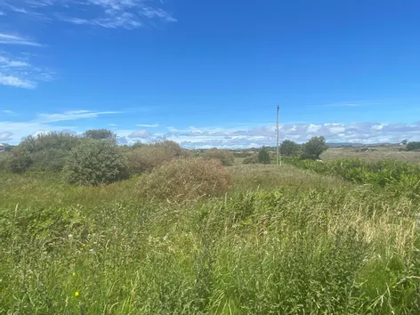 Bealadangan, Co Galway -  DNG