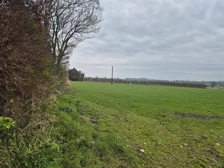 Development Land At Ardattin, Co. Carlow, R93 - DNG Estate Agents