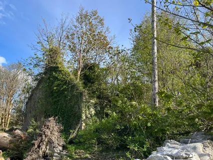 Burnthouse, Rosscahill, Co Galway - DNG