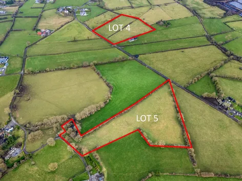 Lot 4 (c. 9.68 Acres), Lemanaghan, Ballycumber, Co. Offaly -  DNG