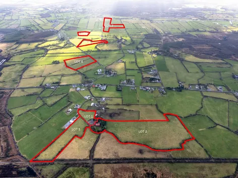 Lot 7 (c. 26 Acres), Lemanaghan, Ballycumber, Co. Offaly -  DNG