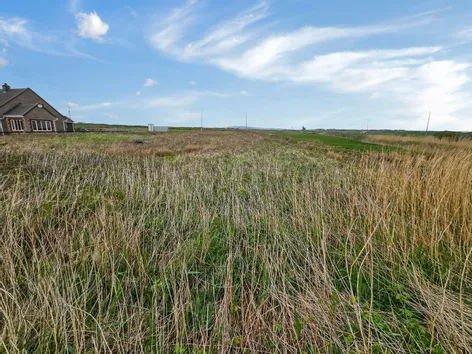 Tromora Site, Seafield, Quilty, Co. Clare - DNG