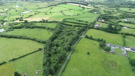 Site At Ballygriffy South, Ennis, Co. Clare -  DNG