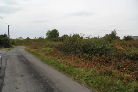 0.72 Acres, Mountscribe, Kinvara, Galway - DNG