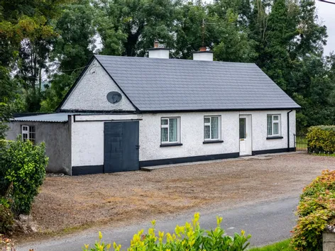 Ballagh, Newtowncashel, Co. Longford, N39D393 -  DNG