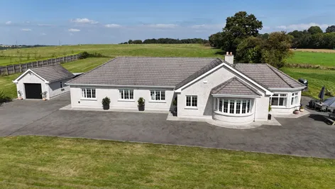 The Willows, Eadestown, Naas, Co Kildare, W91 -  DNG