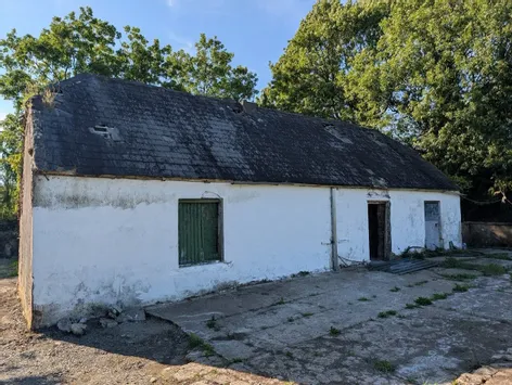 Dromin, Carrigatoher, Nenagh, Co Tipperary - DNG