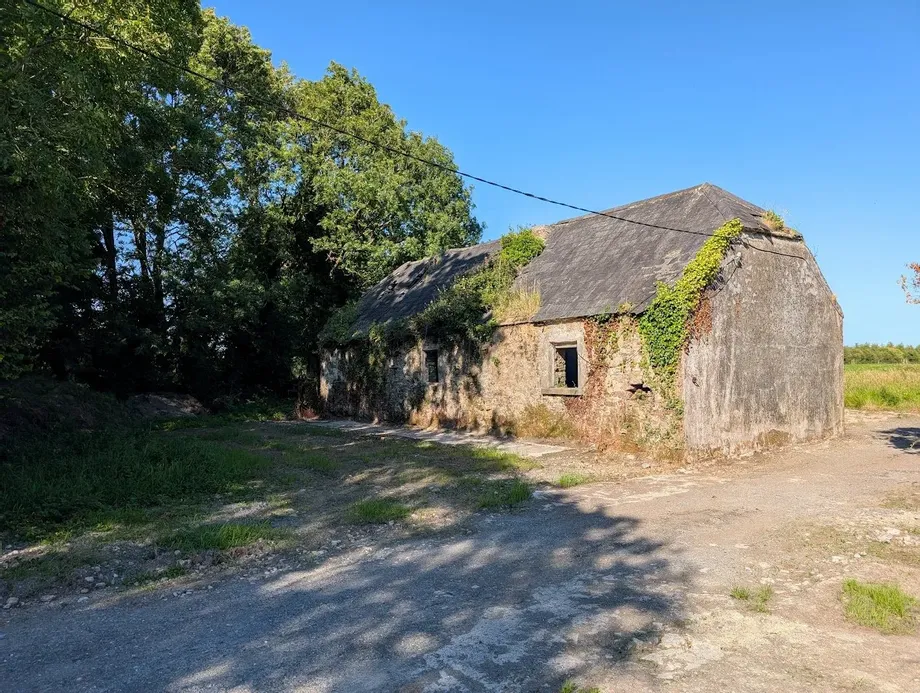 Dromin, Carrigatoher, Nenagh, Co Tipperary - DNG Estate Agents