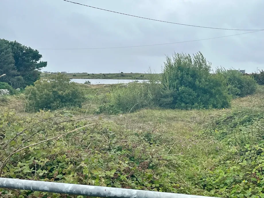 Bantrach, Ballynahown, Co Galway - DNG Estate Agents