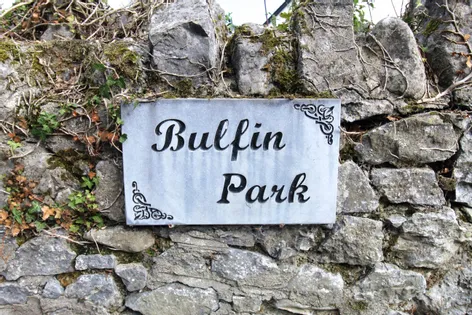 3 Bulfin Park, Birr, Co. Offaly, R42 -  DNG