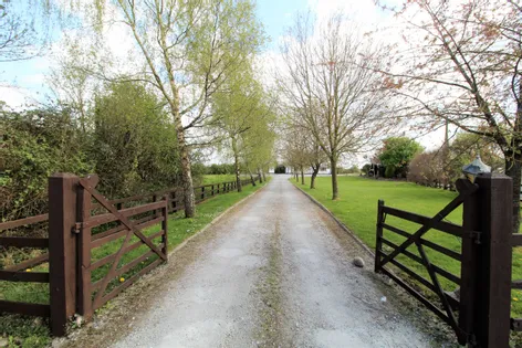 Boston Lane, Ballindarra, Birr, Co. Offaly, R42 - DNG