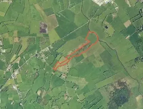 Caplevane, Lusmagh, Co. Offaly - DNG