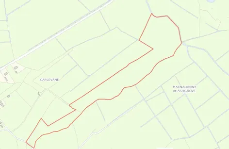 Caplevane, Lusmagh, Co. Offaly - DNG