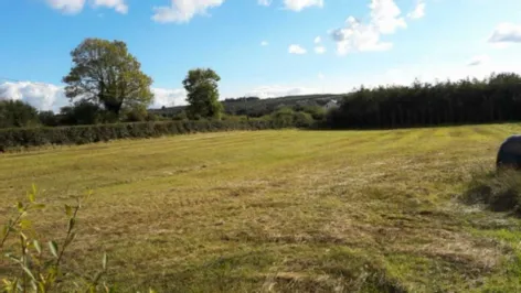 Site At Clondrinagh, Lissycasey, County Clare -  DNG