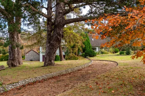 Beancroft, Kilmashogue Lane, Rathfarnham, Dublin 16, D16N8X4 -  DNG
