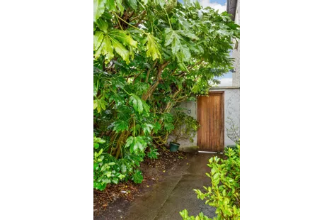 37 Belton Park Road, Donnycarney, Dublin 9, D09C8H1 - DNG