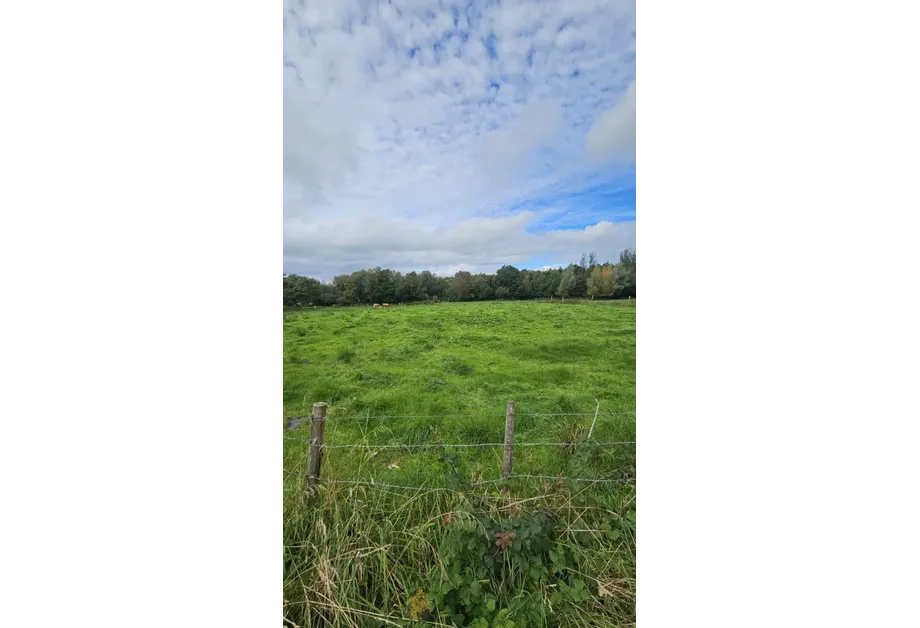 Deelcastle, Ardagh, Ballina, Co. Mayo., 000000 - DNG Estate Agents