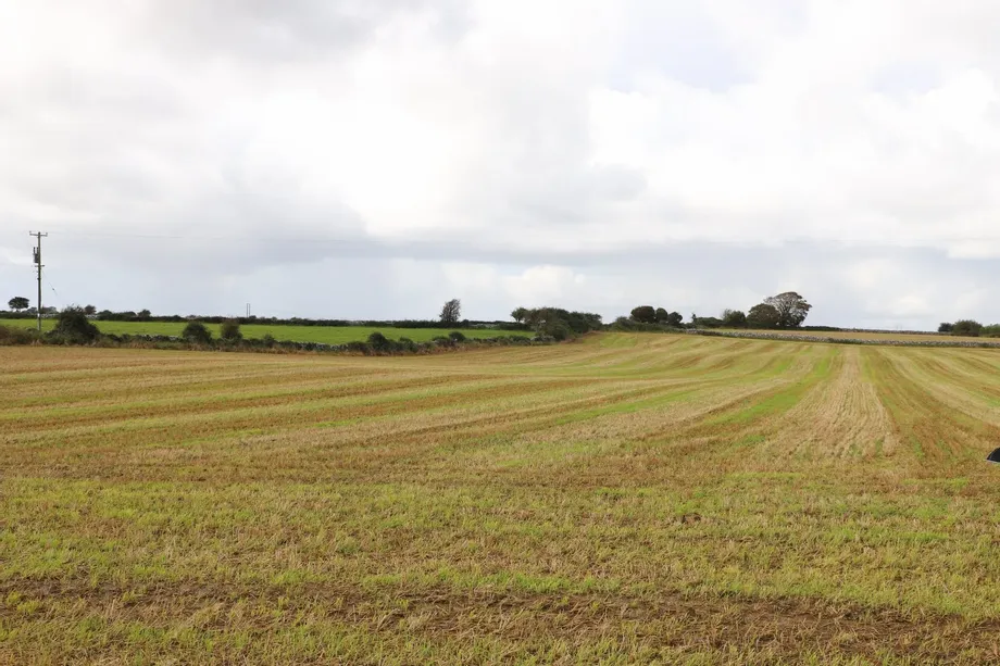 0.56 Acres, Shessy North, Kinvara, Co. Galway - DNG Estate Agents