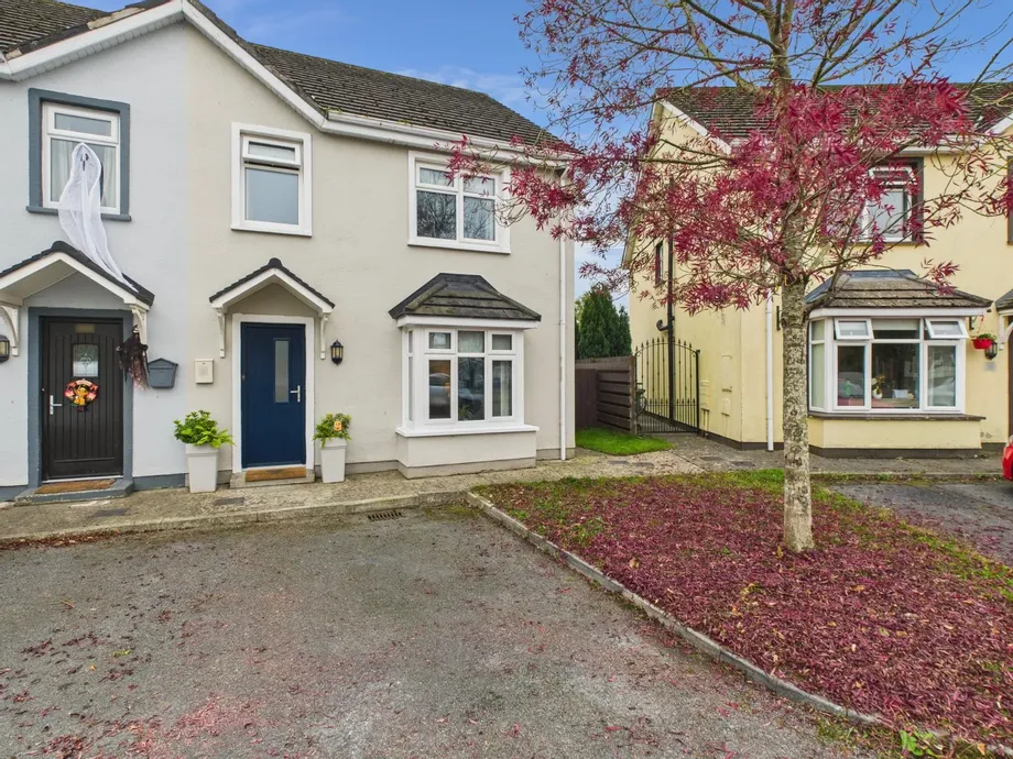 54 Lough Gate, Portarlington, Co. Laois, R32E782 - DNG Estate Agents