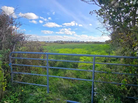 Doonmore, Doonbeg, Co. Clare -  DNG