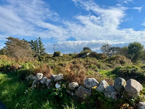 Derroogh, Ballynahown, Co Galway -  DNG