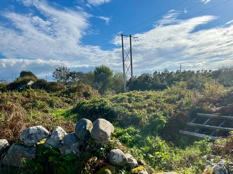 Derroogh, Ballynahown, Co Galway -  DNG