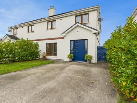 12 Moore Abbey Court, Monasterevin, Co. Kildare, W34 -  DNG