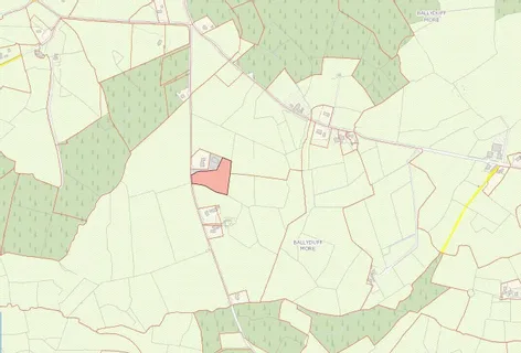Ballyduff More, Kilnamona, Co. Clare -  DNG