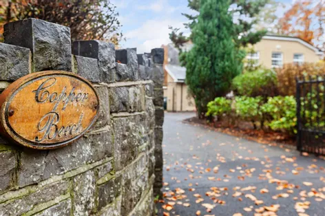 "Copper Beech", Porterstown Road, Castleknock, Dublin 15, D15 -  DNG