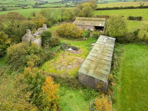 Fahanalooscane, Ballinhassig, County Cork -  DNG