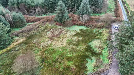 Lighthouse, Ballydesmond, Co.Cork, P51V3K0 -  DNG